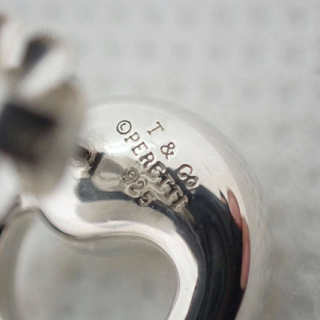 925 Eternal Circle Earrings S722430