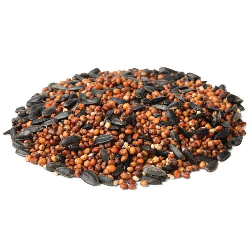 Wild Bird Food V7697