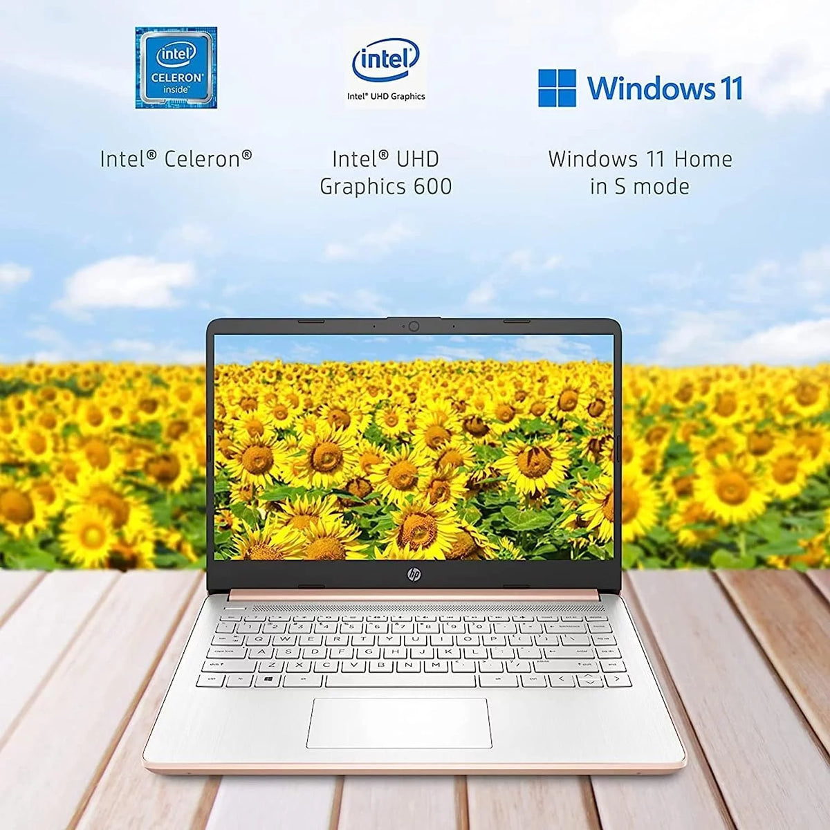 14" Ultral Light Laptop Intel Celeron Quad-Core N4120 16GB RAM 64GB eMMC Pink X53374