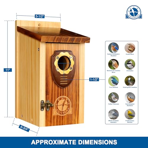 Wooden Hanging Bird House T232