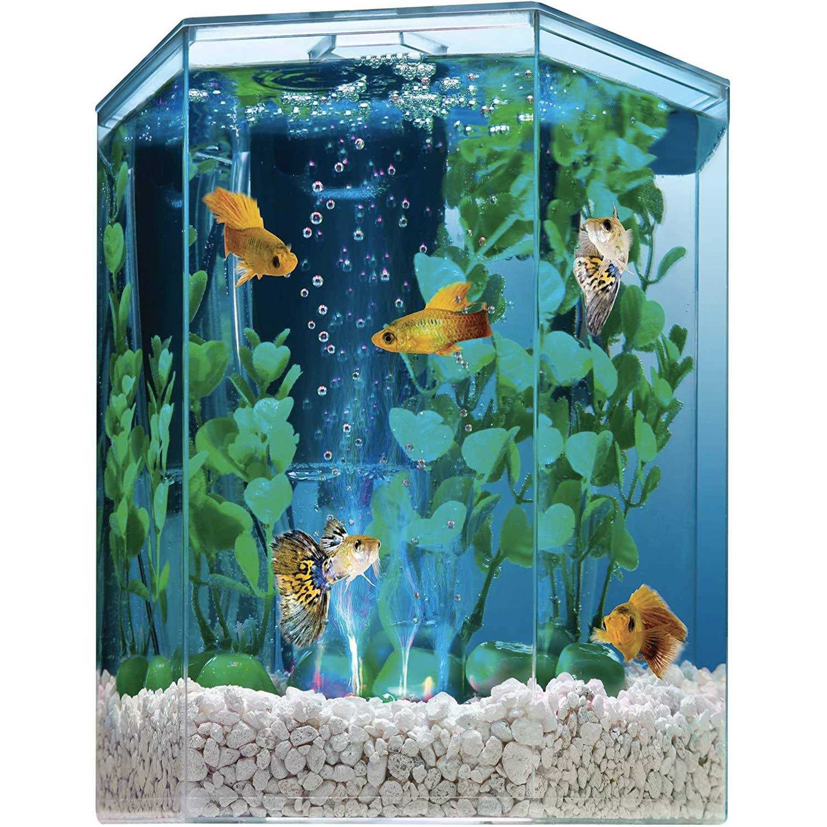 Pet Supplies I4853