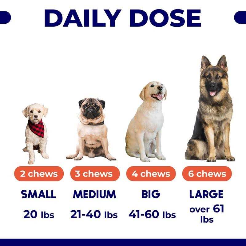 Omega 3 Fish Oil Dog Treats L676640