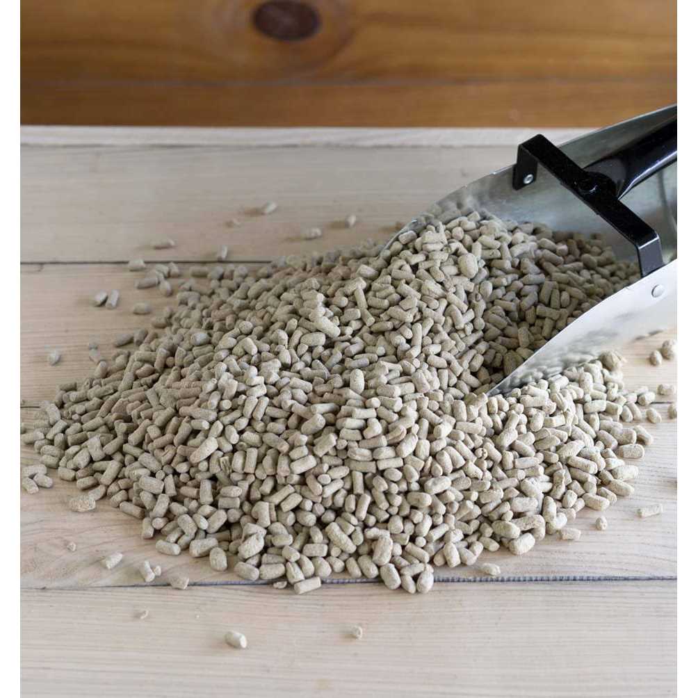 Rice Bran I374