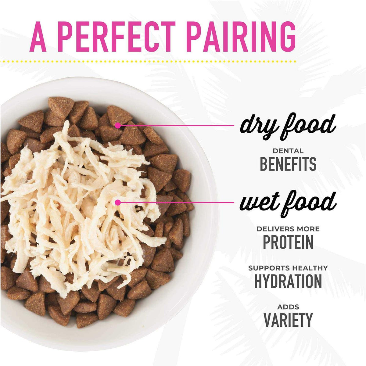 Grain-Free Wet Cat Food Variety Pack Y2895