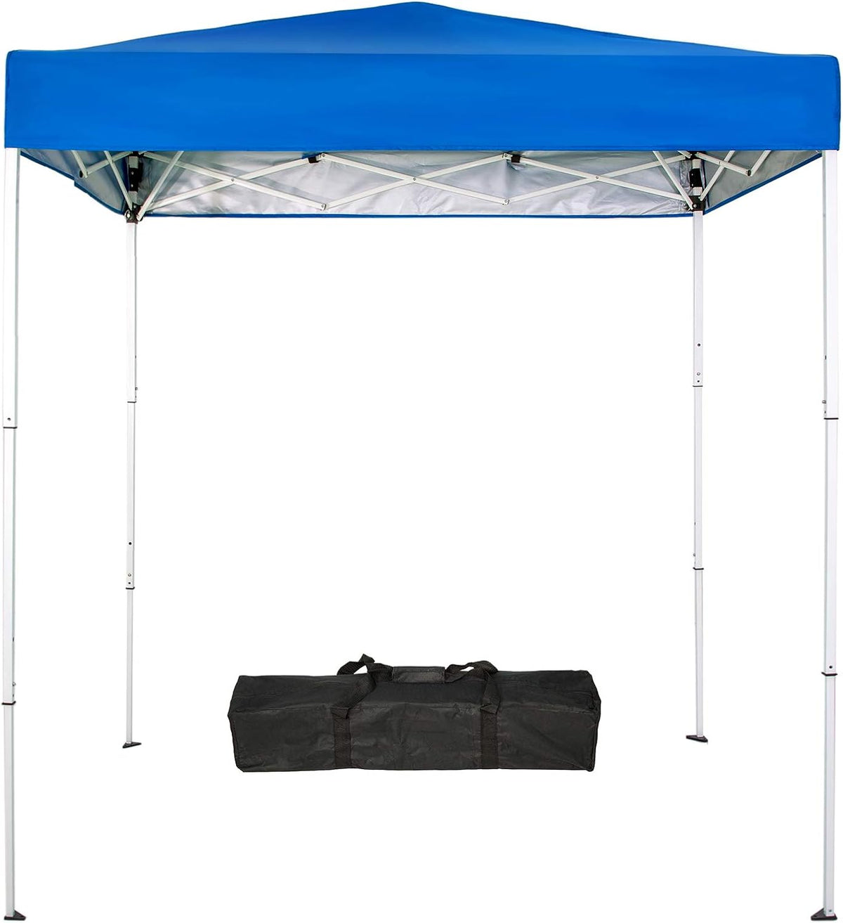 6x4 Ft Pop-Up Canopy Tent with Carry Bag S272138