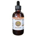 Bladderwrack Dried Whole Plant Liquid Extract Herbal Supplement 2 oz I80303