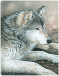 Canvas Art 24x32 R259766