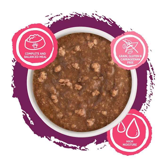 Wet Cat Food J150