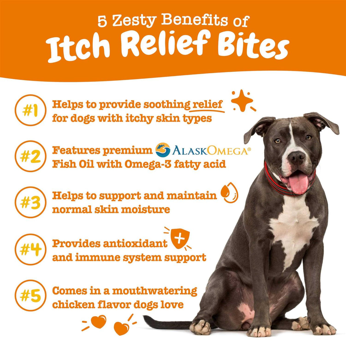 Chicken Flavored Soft Chews Supplement for Dogs E63191
