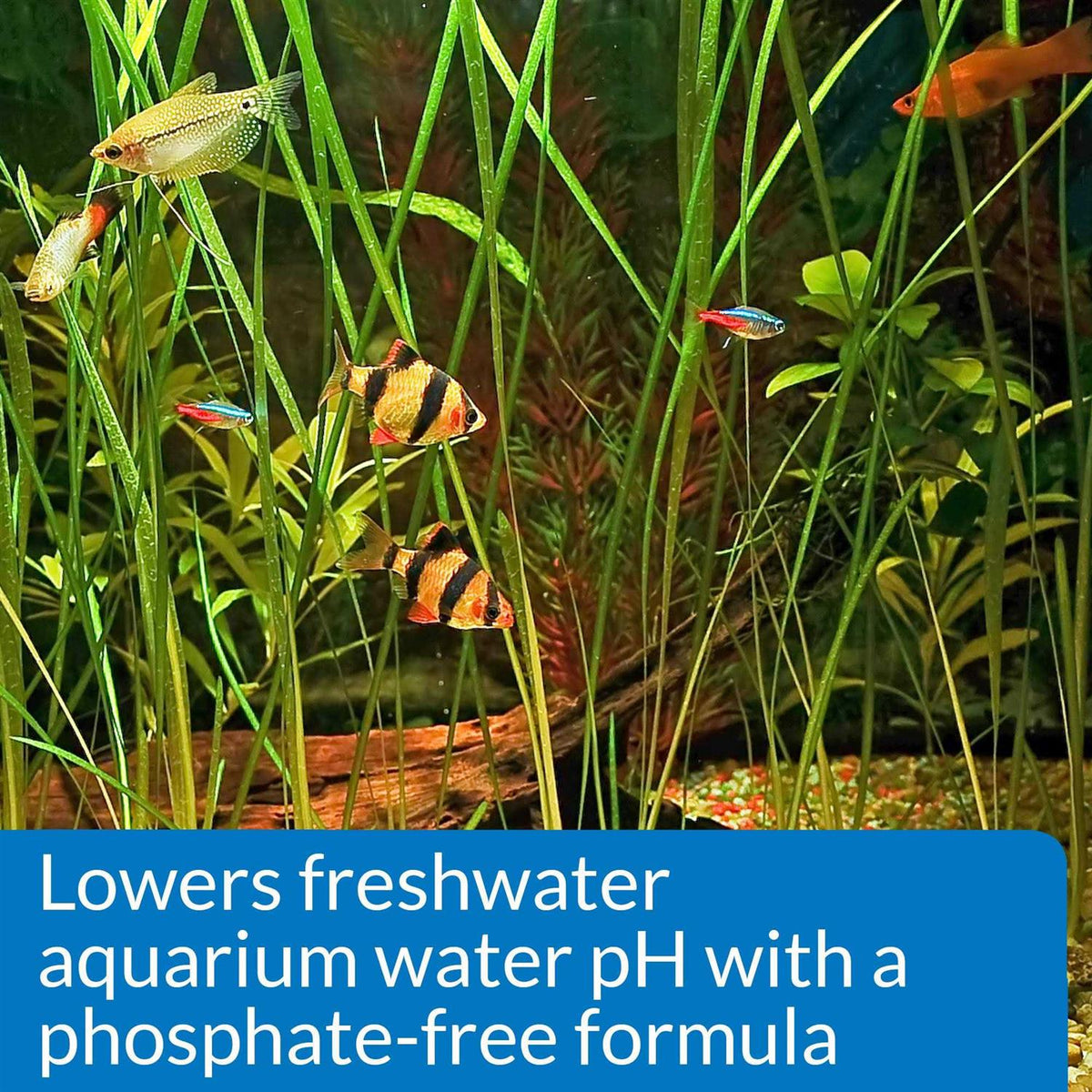 Aquarium pH Down V3500
