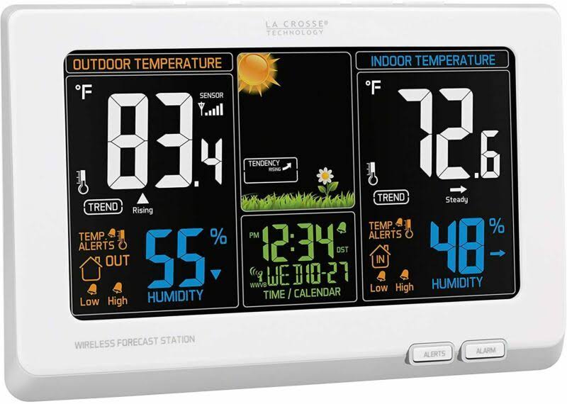 Wireless Atomic Digital Forecast Station Y296