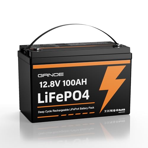 12V 100Ah LiFePO4 Group 31 Lithium Battery with Built-in 100A BMS B5059