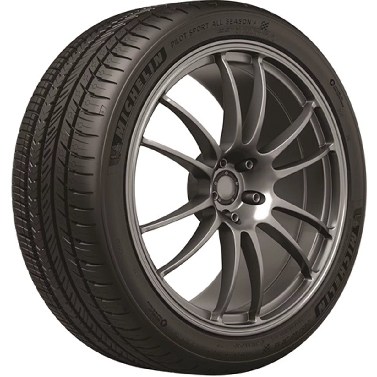 All Season 315/35ZR17 106Y XL Passenger Tire D631