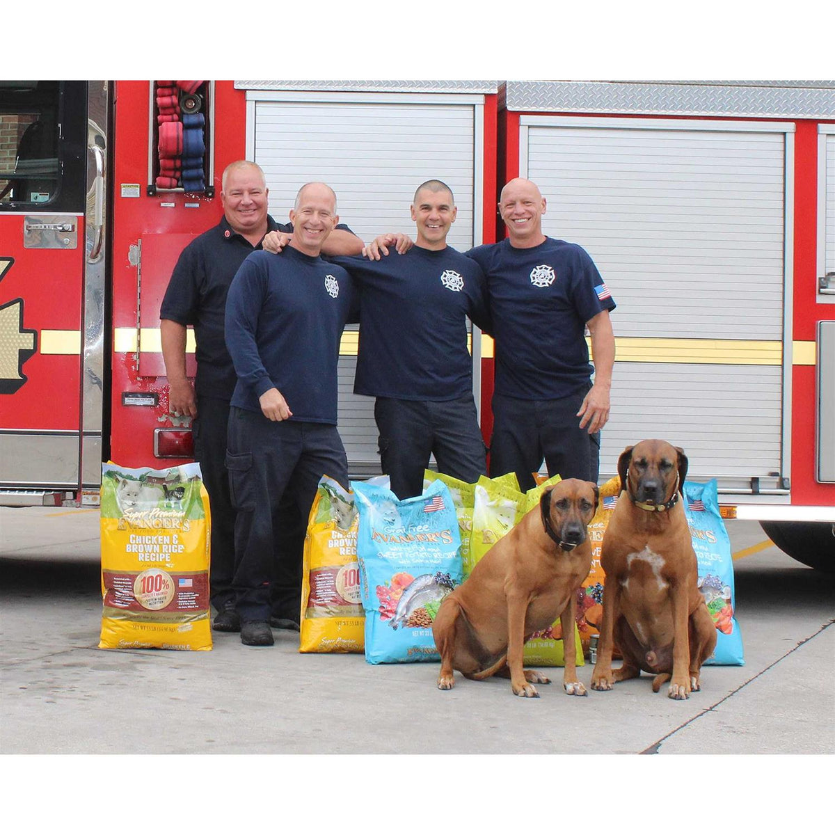 Chicken with Brown Rice Dry Dog Food D275668