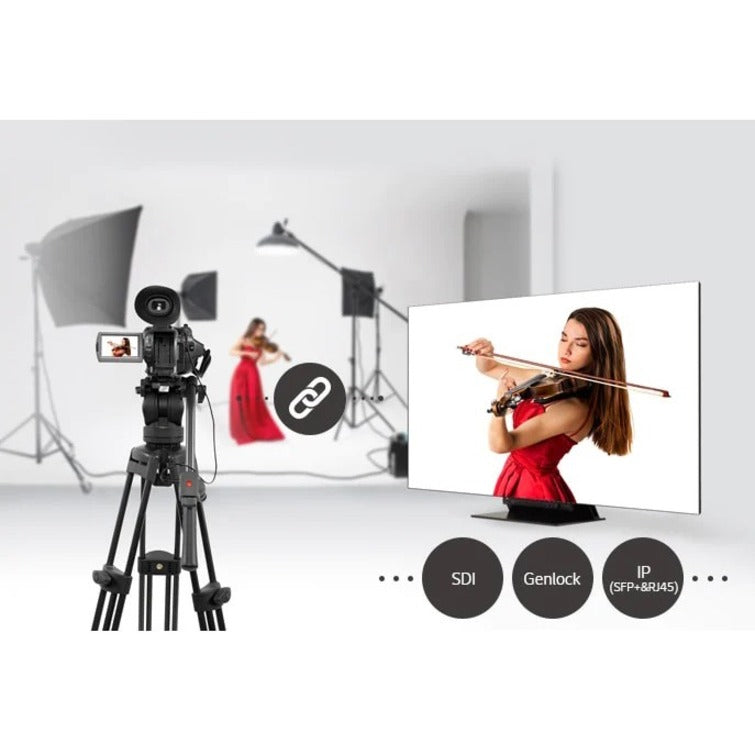 OLED Pro Display Z919