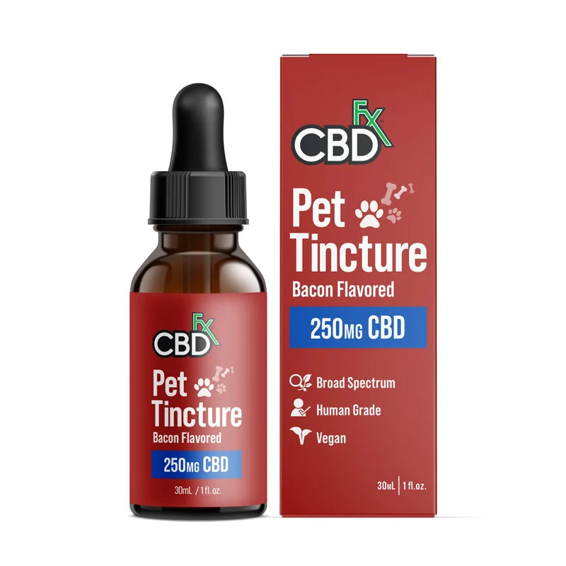 CBD Oil for Cats C873