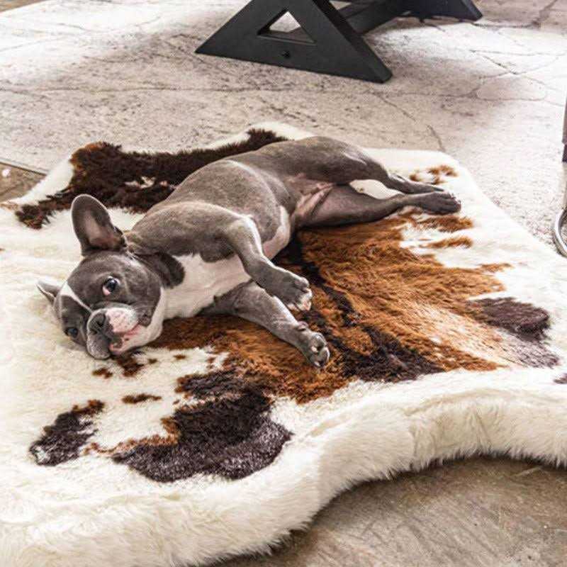 Animal Print Memory Foam Dog Bed E45593