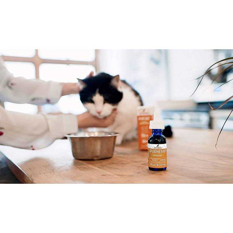 Hemp Oil for Dogs R941891