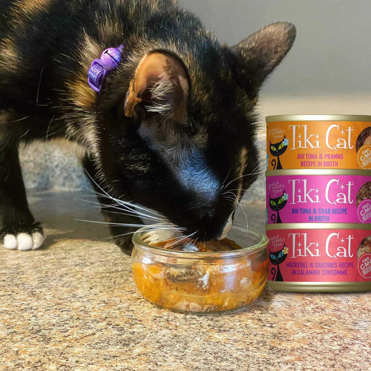 Grain-Free Wet Cat Food Variety Pack Y2895
