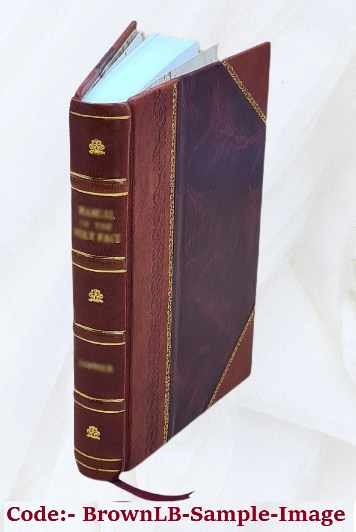 Leather Bound M19164