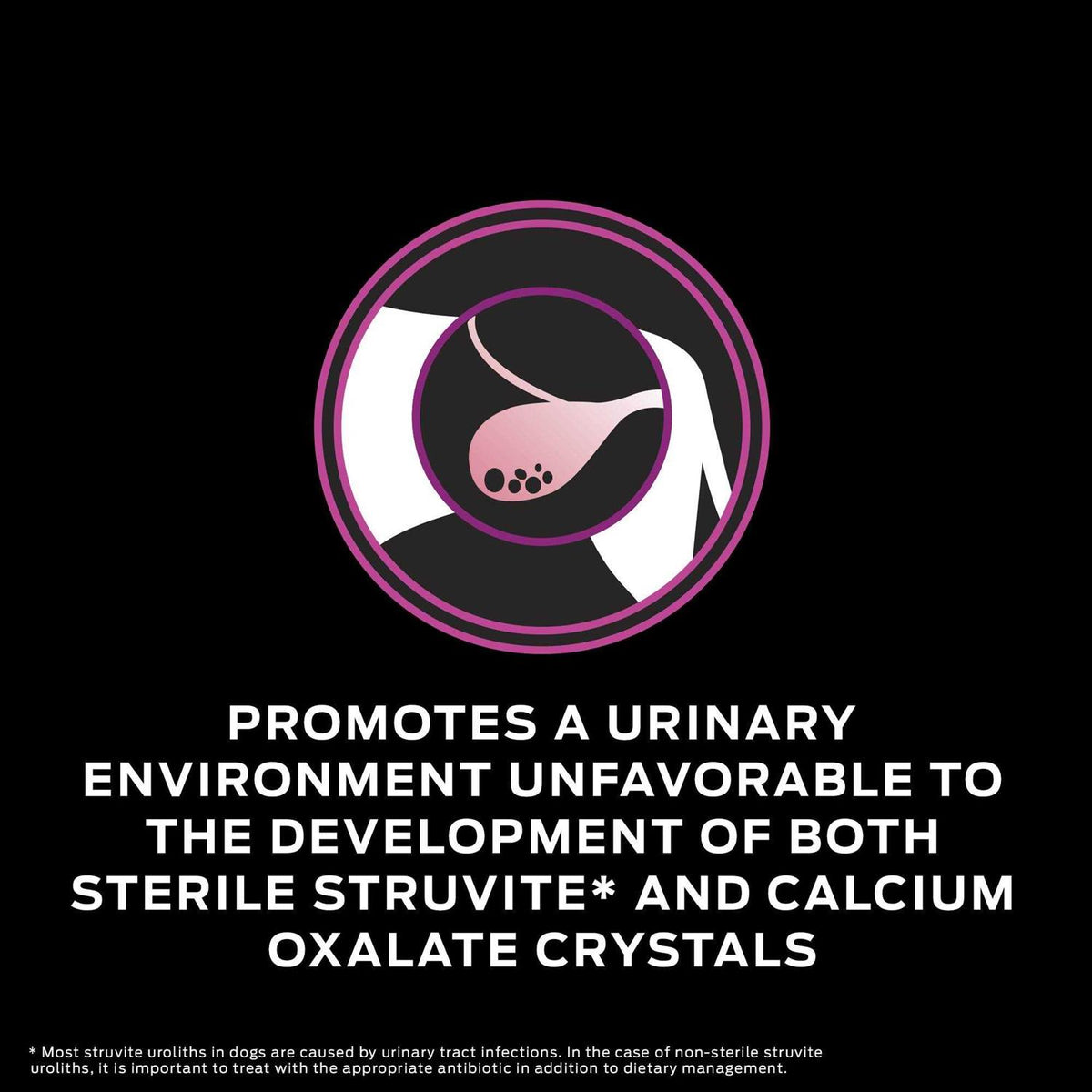 Urinary Dry Dog Food X26652