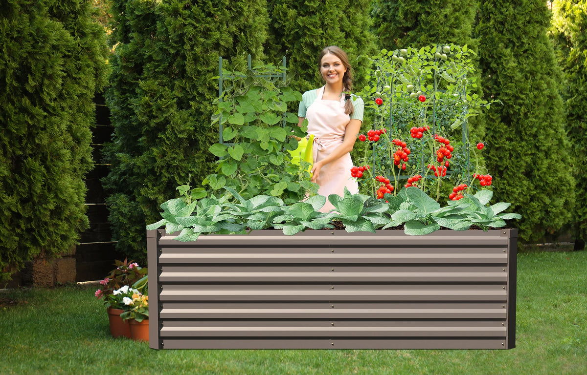 Galvanized Steel Raised Garden Bed 6x3x2 ft Brown K64345