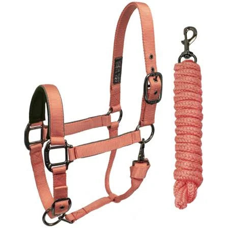 Coral Oversized Reflective Safety Horse Halter & Lead H756