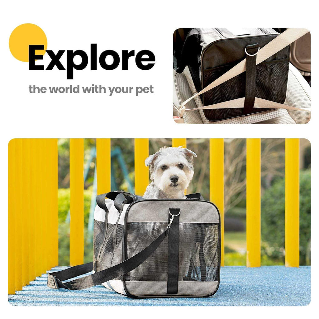 Soft-Sided Cat Carrier with Inner Safety Leash U8061