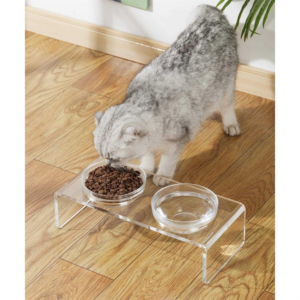 Acrylic Elevated Dog Cat Bowls with Removable Glass and Stainless Steel Bowls W5957
