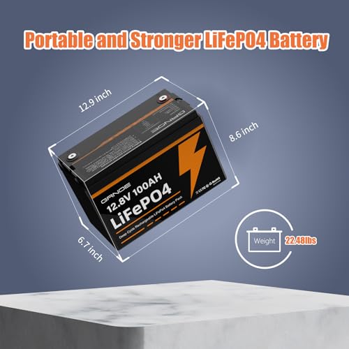 12V 100Ah LiFePO4 Group 31 Lithium Battery with Built-in 100A BMS B5059