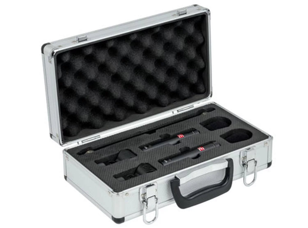 Stereo Pair Condenser Microphone D999