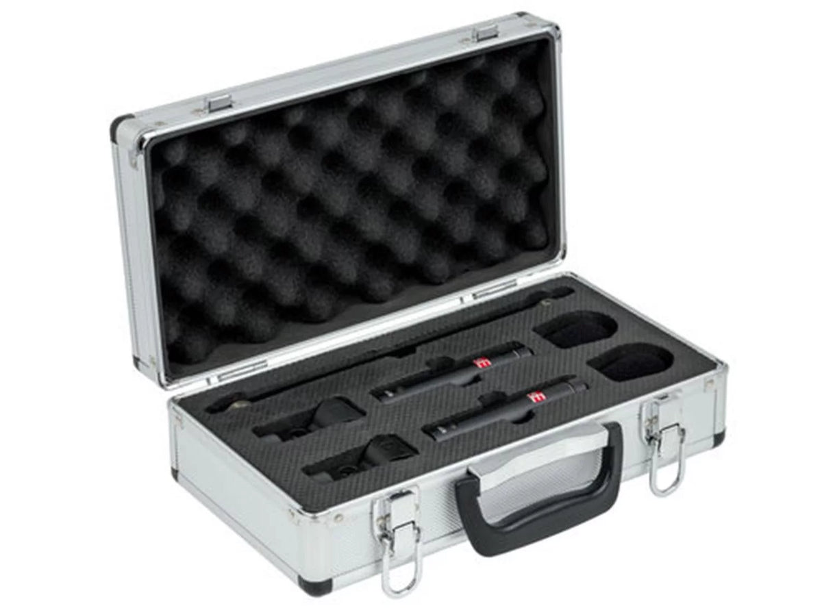 Stereo Pair Condenser Microphone D999