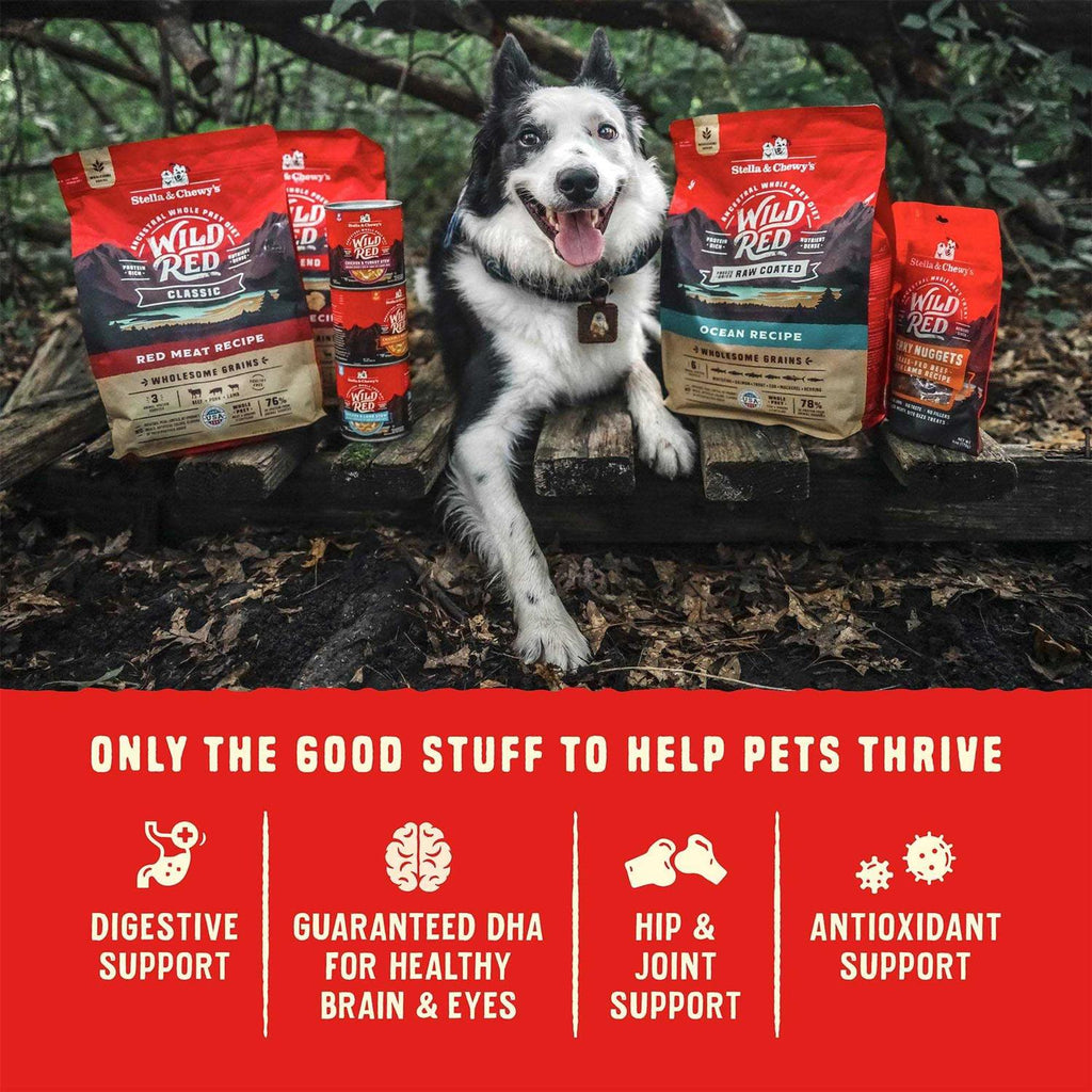 Grain Free High Protein Dry Dog Food R292623