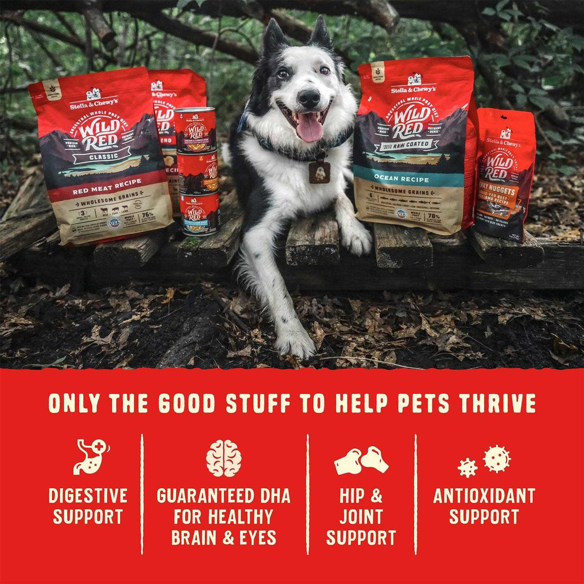 Grain Free High Protein Dry Dog Food R292623