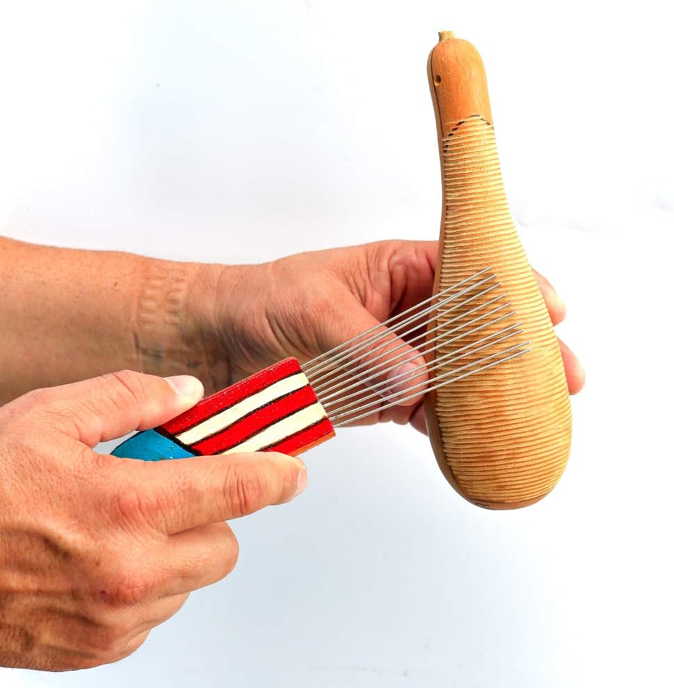 Maracas, Güiro y Palitos P67197
