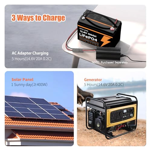 12V 100Ah LiFePO4 Group 31 Lithium Battery with Built-in 100A BMS B5059