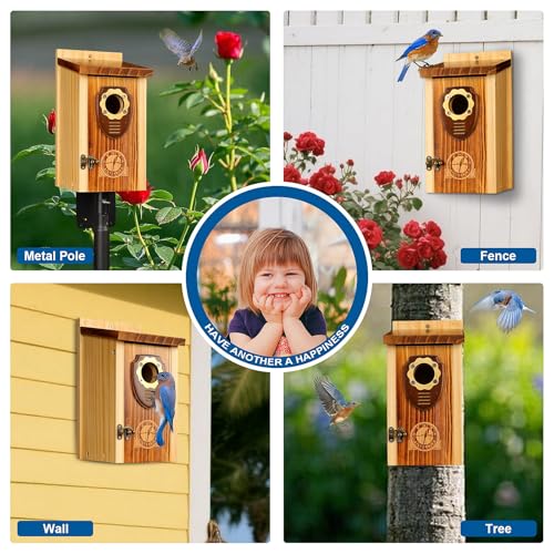 Wooden Hanging Bird House T232