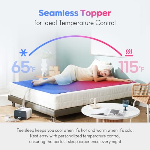 Electric Water Cooling and Heating Mattress Topper, Queen Size T58081