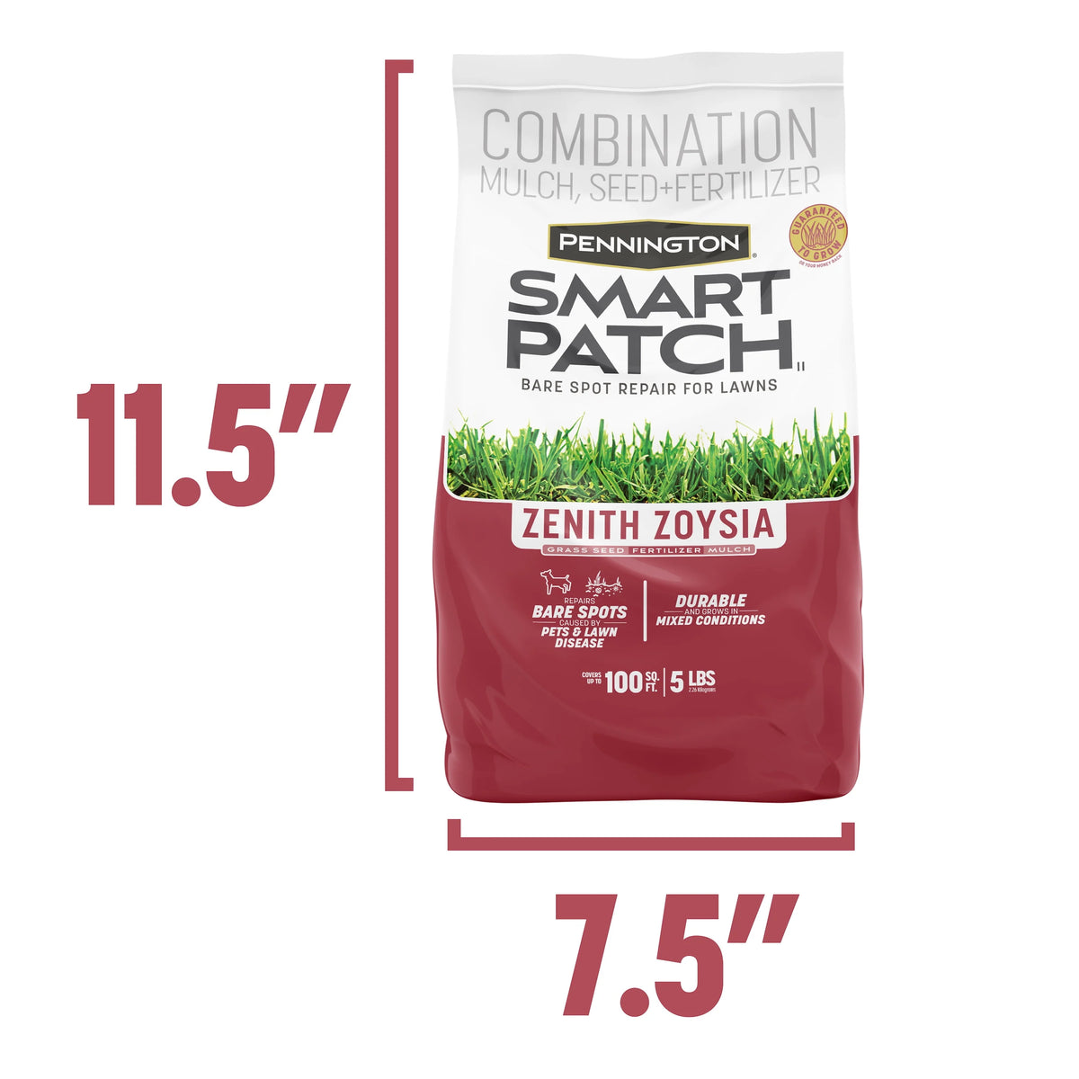 Zoysia Grass Seed 5 lb E364