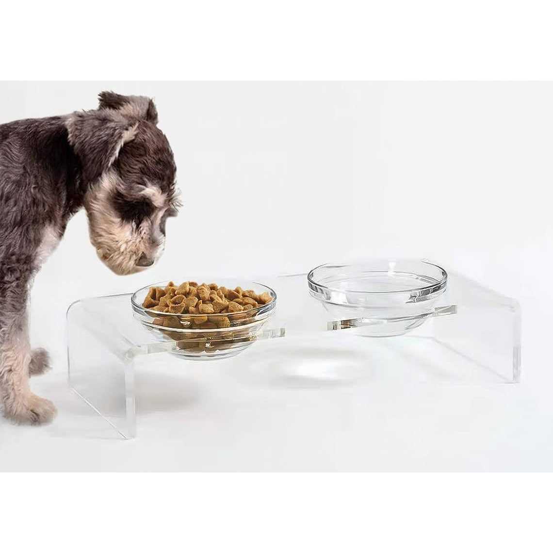 Acrylic Elevated Dog Cat Bowls with Removable Glass and Stainless Steel Bowls W5957