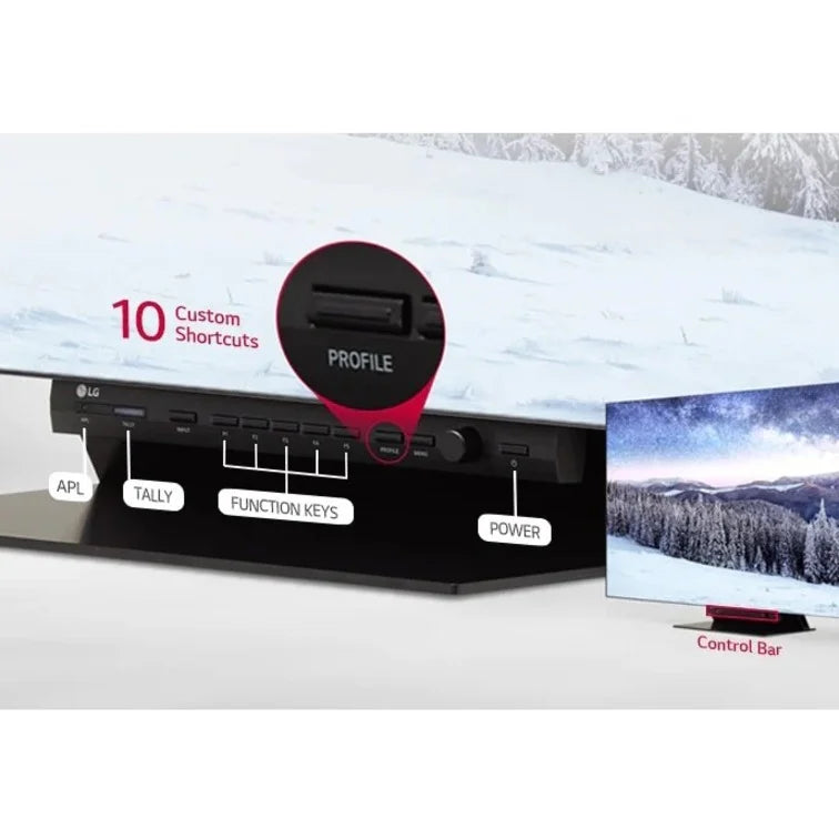 OLED Pro Display Z919