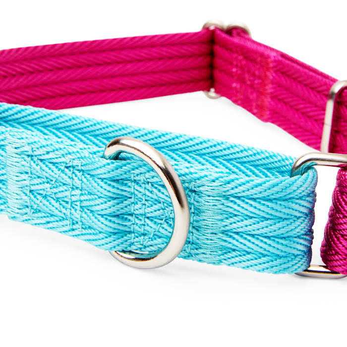 Teal Dog Collar I841421