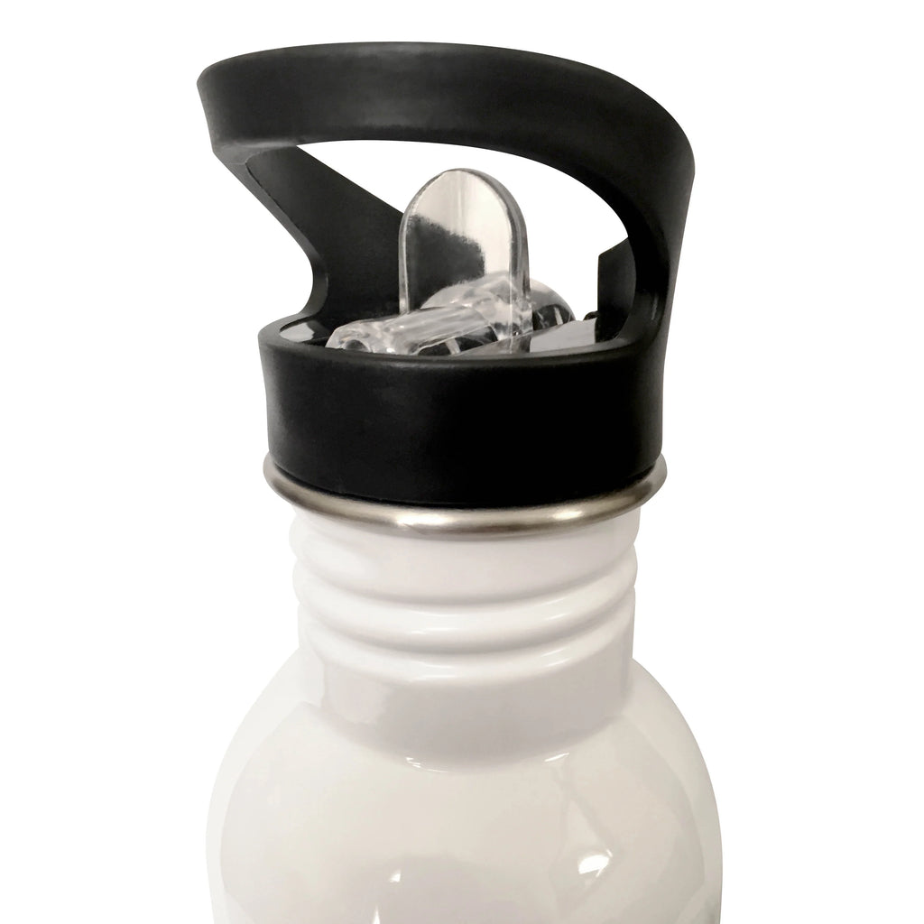 Water Bottle, 21-ounce D867