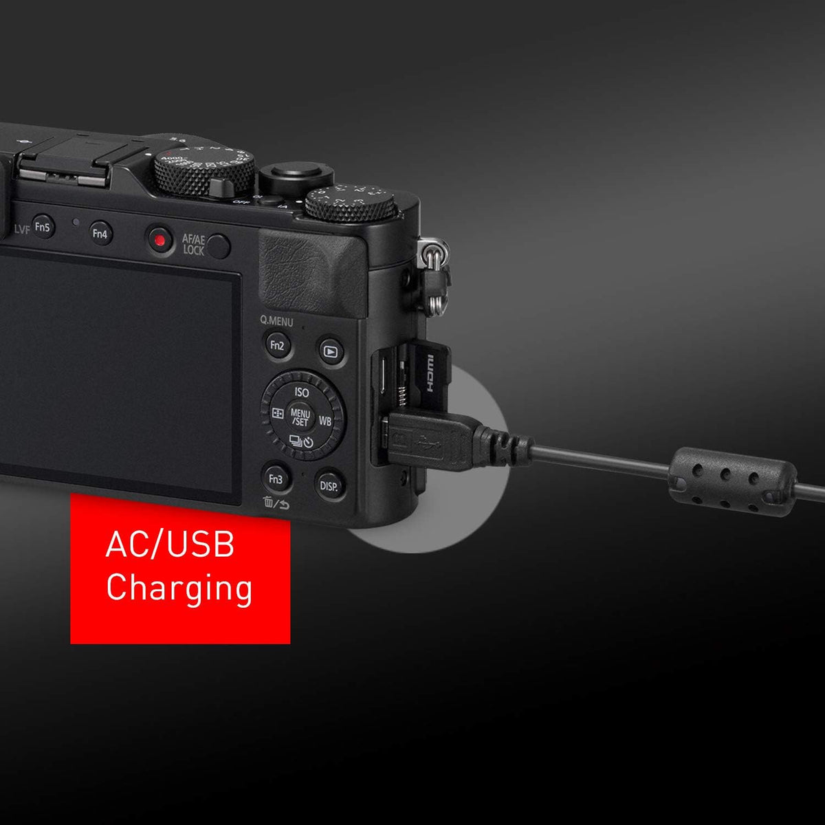 Black 21.7 MP Large Four Thirds Camera with 24-75mm Leica Lens G650124