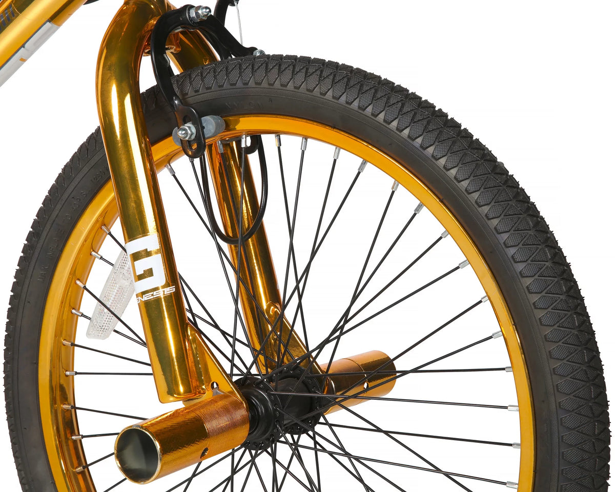 20-inch BMX Bike E5628