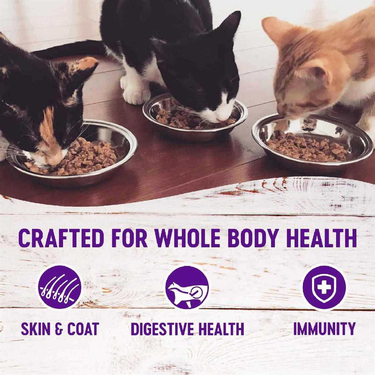 Seafood Pate Cat Food Variety Pack Q596