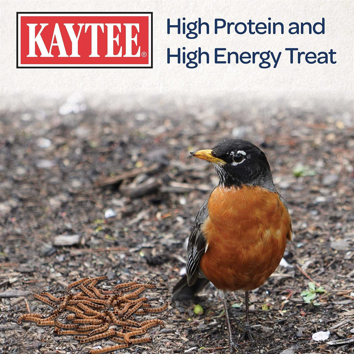 Mealworms Bird Food G1866