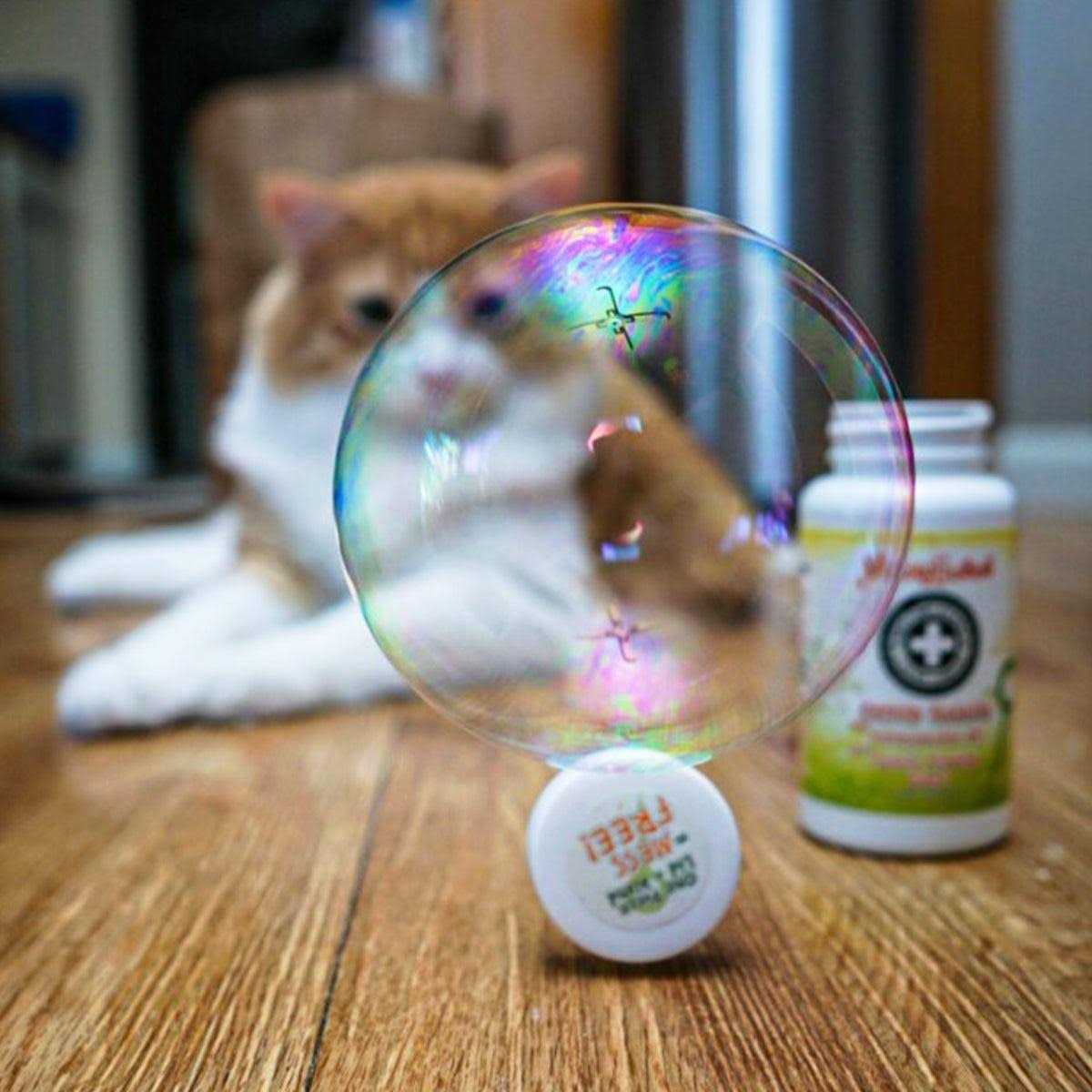 Catnip Honeysuckle Bubbles X7835
