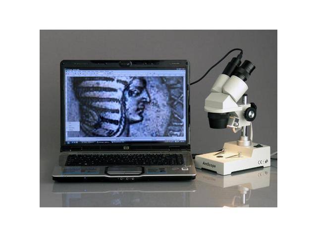 20X-80X Stereo Microscope I569961