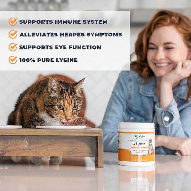Cat Lysine Supplement C261
